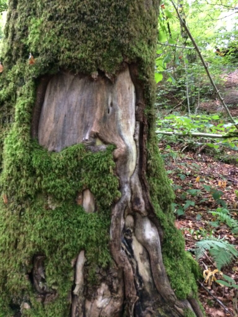 L’attribut alt de cette image est vide, son nom de fichier est 116D4DE9-FAC5-4845-85C4-384E47029836-768x1024.jpeg.